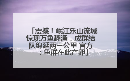 震撼！岷江乐山流域惊现万鱼翻涌，成群结队绵延两三公里 官方：鱼群在此产卵