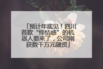 预计年底见！四川首款“懂情感”的机器人要来了，公司刚获数千万元融资