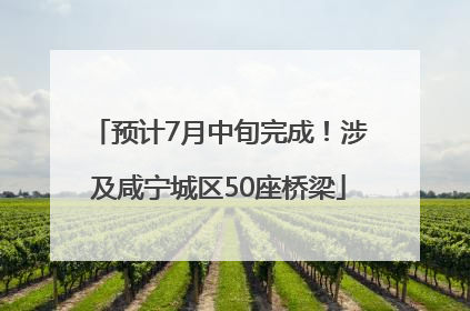 预计7月中旬完成！涉及咸宁城区50座桥梁
