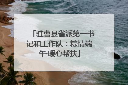驻曹县省派第一书记和工作队：粽情端午·暖心帮扶