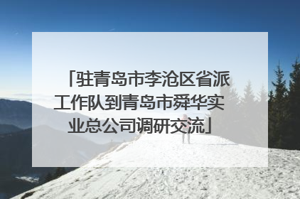 驻青岛市李沧区省派工作队到青岛市舜华实业总公司调研交流
