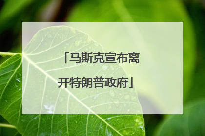 马斯克宣布离开特朗普政府
