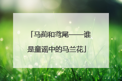 马蔺和鸢尾——谁是童谣中的马兰花