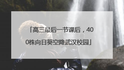 高三最后一节课后，400株向日葵空降武汉校园