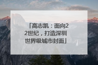 高志凯：面向22世纪，打造深圳世界级城市封面