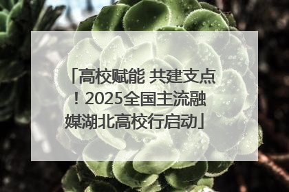 高校赋能 共建支点！2025全国主流融媒湖北高校行启动