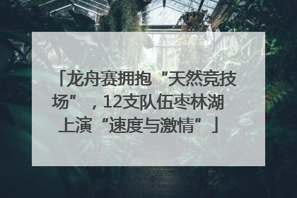 龙舟赛拥抱“天然竞技场”，12支队伍枣林湖上演“速度与激情”