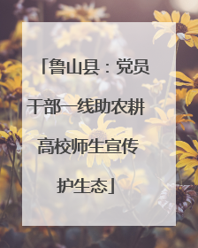 鲁山县：党员干部一线助农耕 高校师生宣传护生态