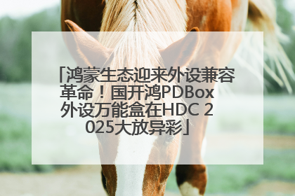 鸿蒙生态迎来外设兼容革命！国开鸿PDBox外设万能盒在HDC 2025大放异彩