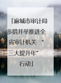 麻城市审计局多措并举推进全省审计机关 “三大提升年” 行动