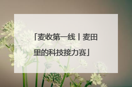 麦收第一线丨麦田里的科技接力赛