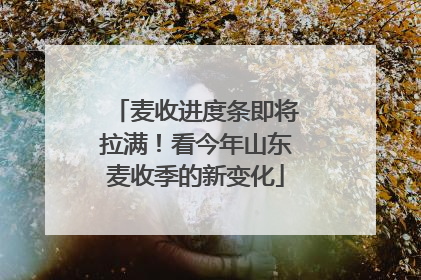 麦收进度条即将拉满！看今年山东麦收季的新变化