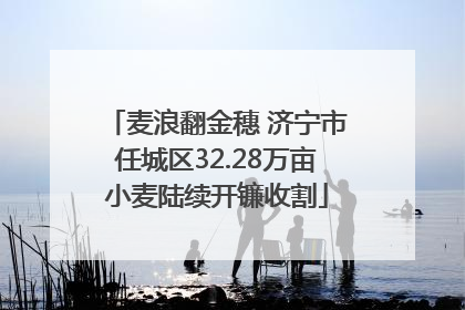 麦浪翻金穗 济宁市任城区32.28万亩小麦陆续开镰收割
