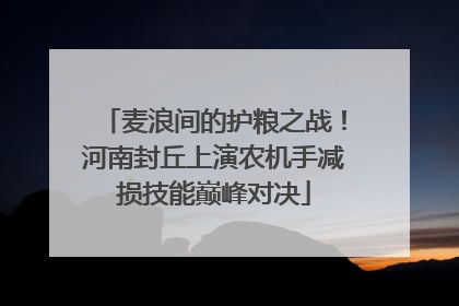 麦浪间的护粮之战！河南封丘上演农机手减损技能巅峰对决