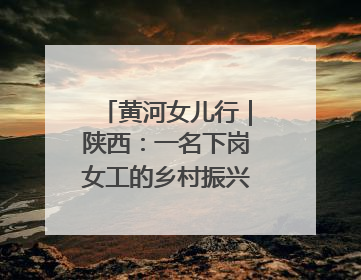 黄河女儿行｜陕西：一名下岗女工的乡村振兴“家政兵法”