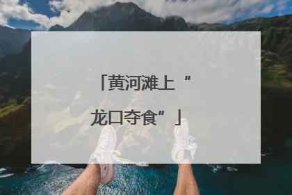黄河滩上“龙口夺食”