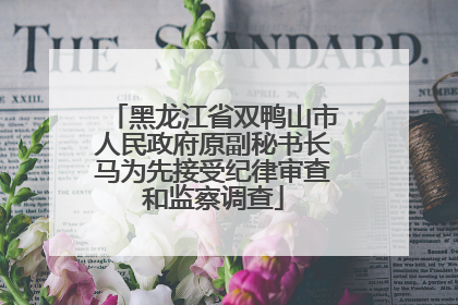 黑龙江省双鸭山市人民政府原副秘书长马为先接受纪律审查和监察调查