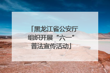 黑龙江省公安厅组织开展“六一”普法宣传活动
