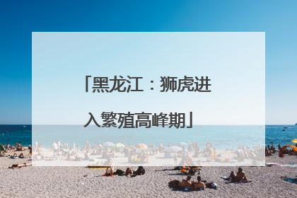 黑龙江：狮虎进入繁殖高峰期