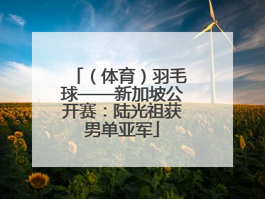 （体育）羽毛球——新加坡公开赛：陆光祖获男单亚军