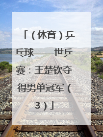 （体育）乒乓球——世乒赛：王楚钦夺得男单冠军（3）