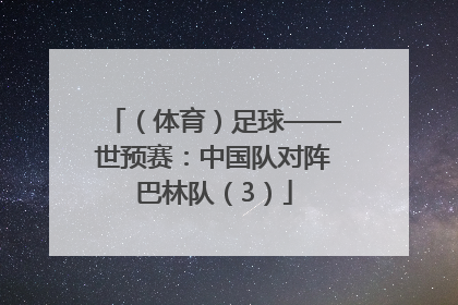 （体育）足球——世预赛：中国队对阵巴林队（3）