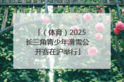 （体育）2025长三角青少年滑雪公开赛在沪举行