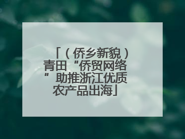 （侨乡新貌）青田“侨贸网络”助推浙江优质农产品出海