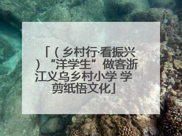 （乡村行·看振兴）“洋学生”做客浙江义乌乡村小学 学剪纸悟文化