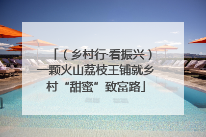 （乡村行·看振兴）一颗火山荔枝王铺就乡村“甜蜜”致富路