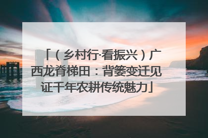 （乡村行·看振兴）广西龙脊梯田：背篓变迁见证千年农耕传统魅力