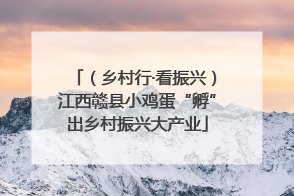 （乡村行·看振兴）江西赣县小鸡蛋“孵”出乡村振兴大产业