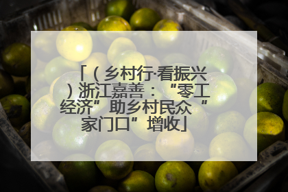 （乡村行·看振兴）浙江嘉善：“零工经济”助乡村民众“家门口”增收