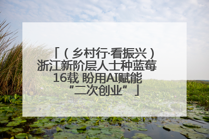 （乡村行·看振兴）浙江新阶层人士种蓝莓16载 盼用AI赋能“二次创业”