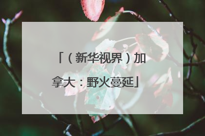 （新华视界）加拿大：野火蔓延