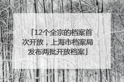 12个全宗的档案首次开放，上海市档案局发布两批开放档案