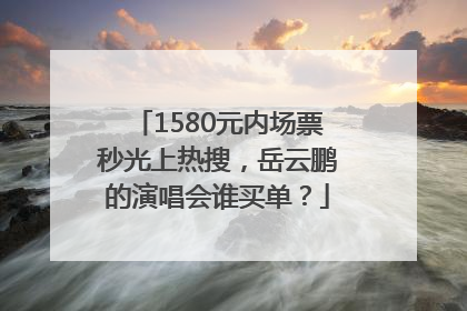 1580元内场票秒光上热搜，岳云鹏的演唱会谁买单？