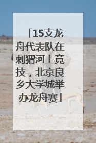 15支龙舟代表队在刺猬河上竞技，北京良乡大学城举办龙舟赛