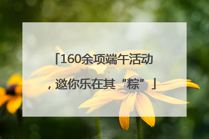 160余项端午活动，邀你乐在其“粽”
