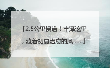 2.5公里慢道！丰泽这里，藏着初夏治愈的风……