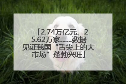 2.74万亿元、25.62万家……数据见证我国“舌尖上的大市场”蓬勃兴旺