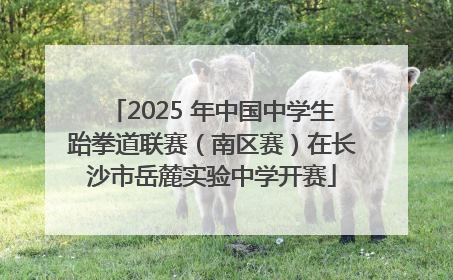 2025 年中国中学生跆拳道联赛（南区赛）在长沙市岳麓实验中学开赛