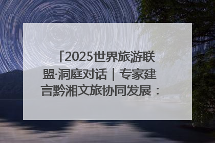 2025世界旅游联盟·洞庭对话｜专家建言黔湘文旅协同发展：聚焦产品稀缺性 深化区域经验共享