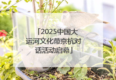 2025中国大运河文化带京杭对话活动启幕