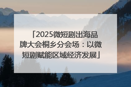 2025微短剧出海品牌大会桐乡分会场：以微短剧赋能区域经济发展