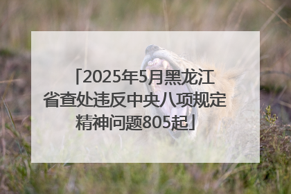 2025年5月黑龙江省查处违反中央八项规定精神问题805起