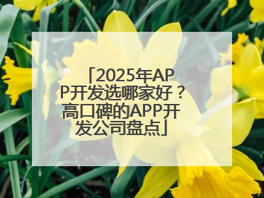 2025年APP开发选哪家好？高口碑的APP开发公司盘点