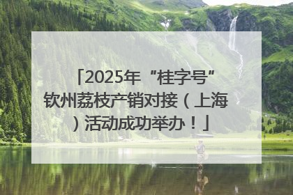 2025年“桂字号”钦州荔枝产销对接（上海）活动成功举办！