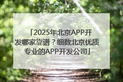 2025年北京APP开发哪家靠谱？细数北京优质专业的APP开发公司