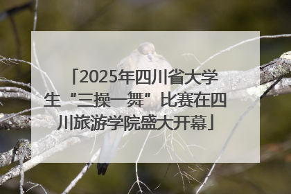 2025年四川省大学生“三操一舞”比赛在四川旅游学院盛大开幕
